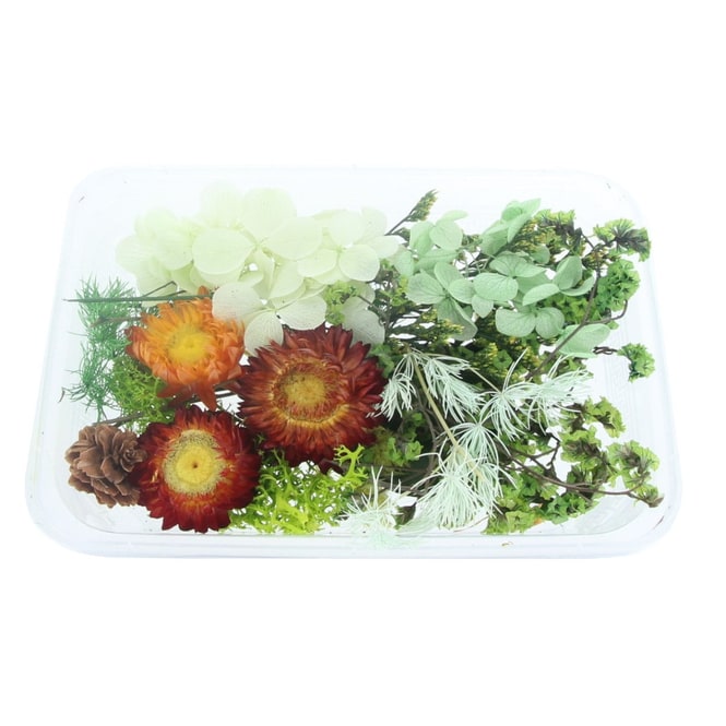 Streudeko - Trockenblumen - grün