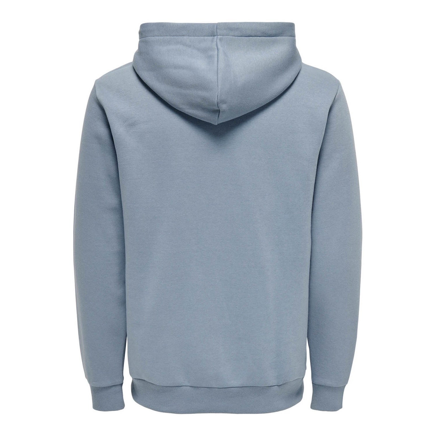 ONLY & Sons  Brennan Regular Hoodie