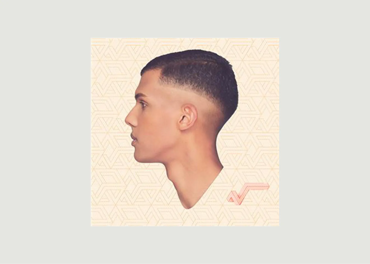 Vinyle Racine carrée Stromae La vinyl-thèque idéale