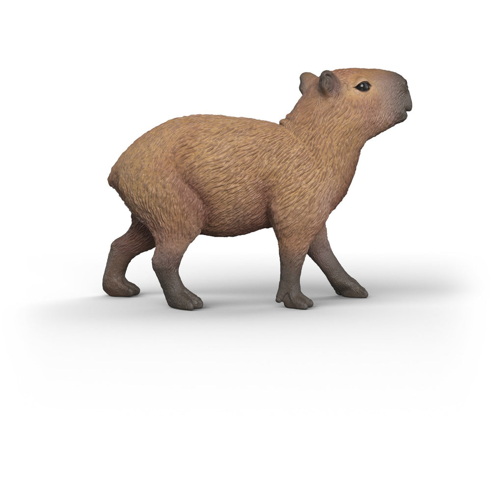 Køb Schleich Kapivara