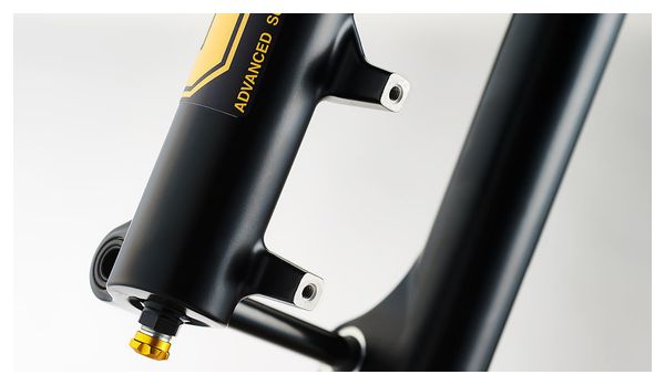 Fourche Öhlins RXF 38 M2 Air 29'' | Boost 15x110mm | Offset 44 Noir | Larger Crown