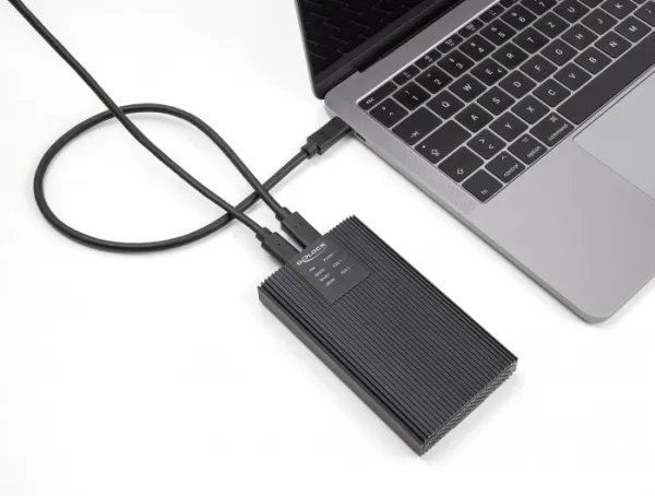 Delock - Lagringspakning - M.2 - M.2 NVMe Card / PCIe (NVMe) - RAID JBOD, RAID 0, 1 - USB 3.2 (Gen 2x2) - sort