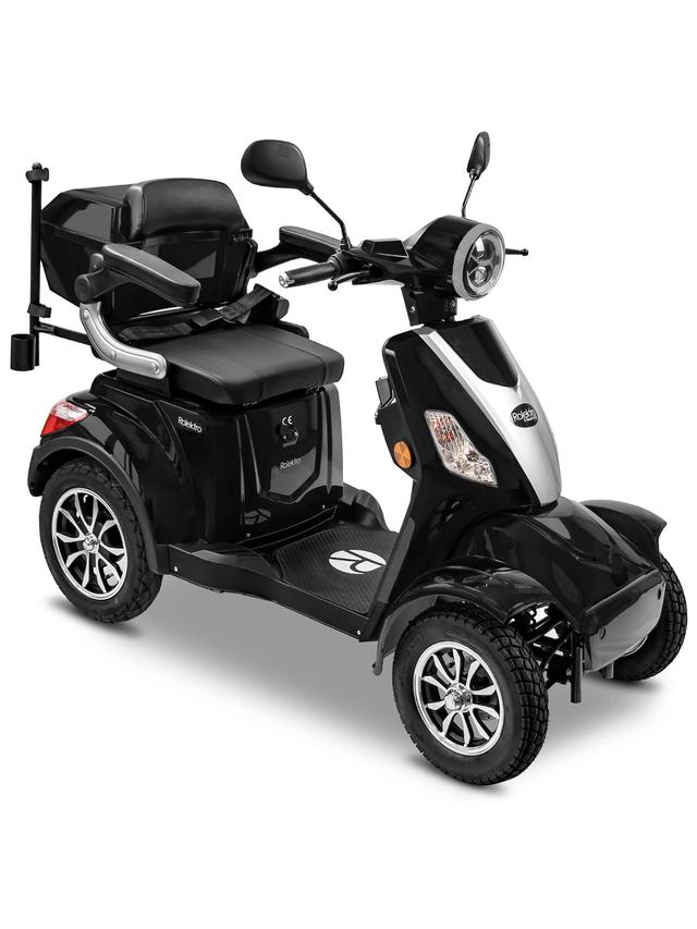 Theo Premium Elektrofahrzeug Lithium, 1000 Watt
