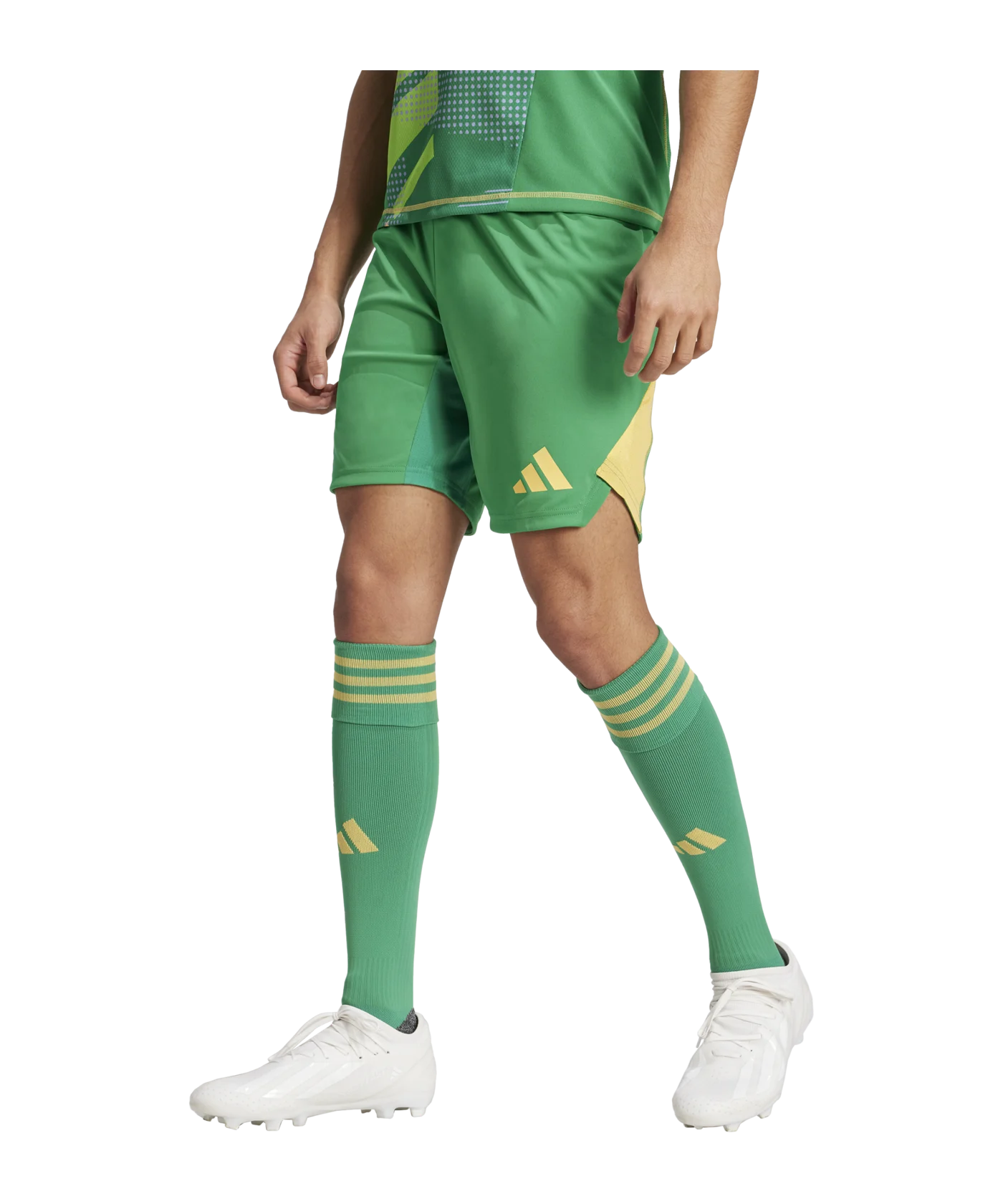 adidas Tiro 24 Pro Torwartshort Grün