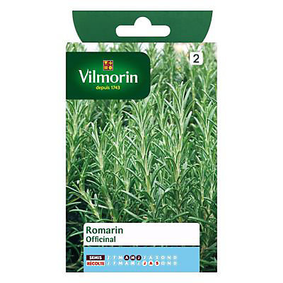 Graines de Romarin Officinal Vilmorin