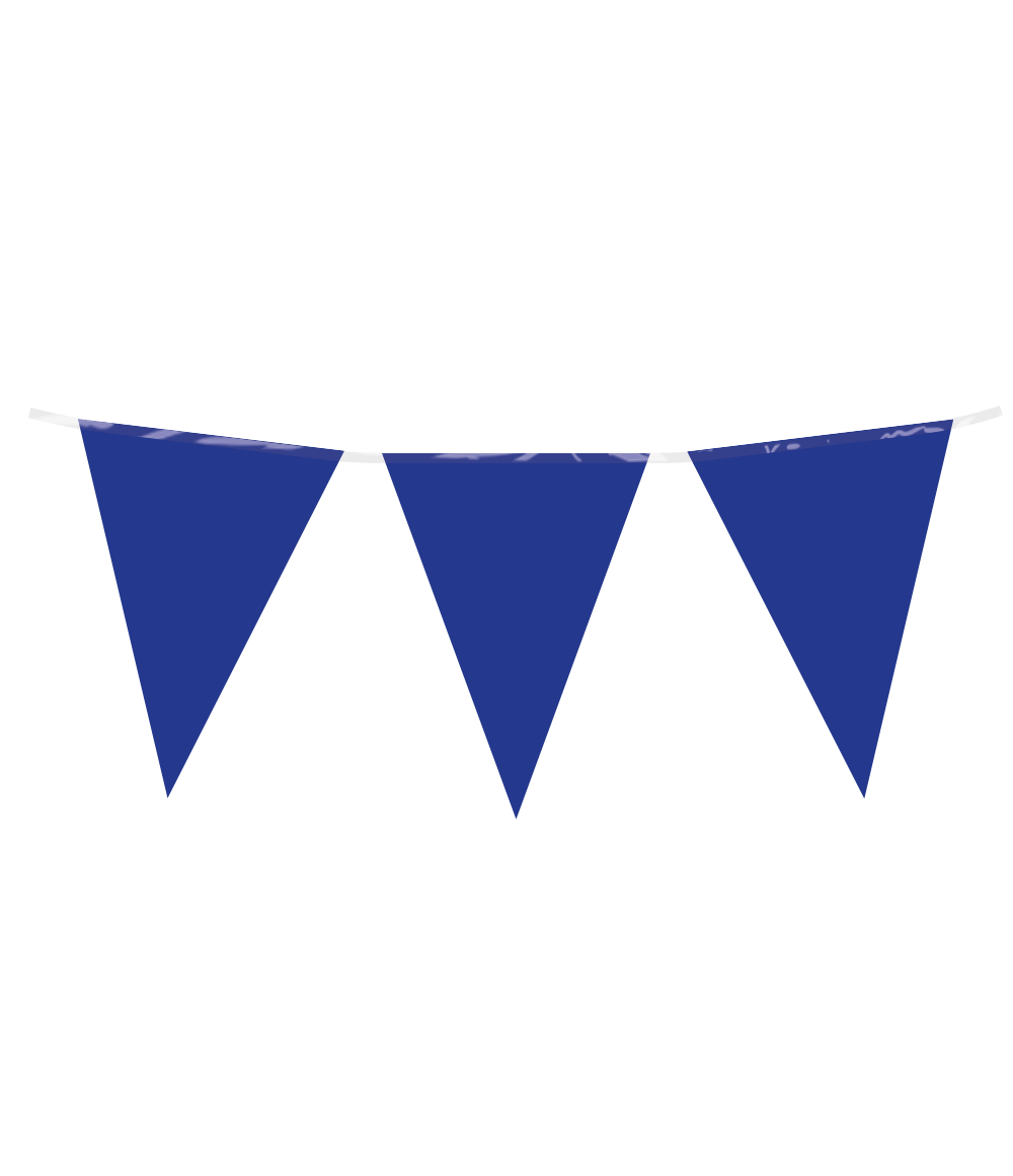 Blauwe Slinger 10m