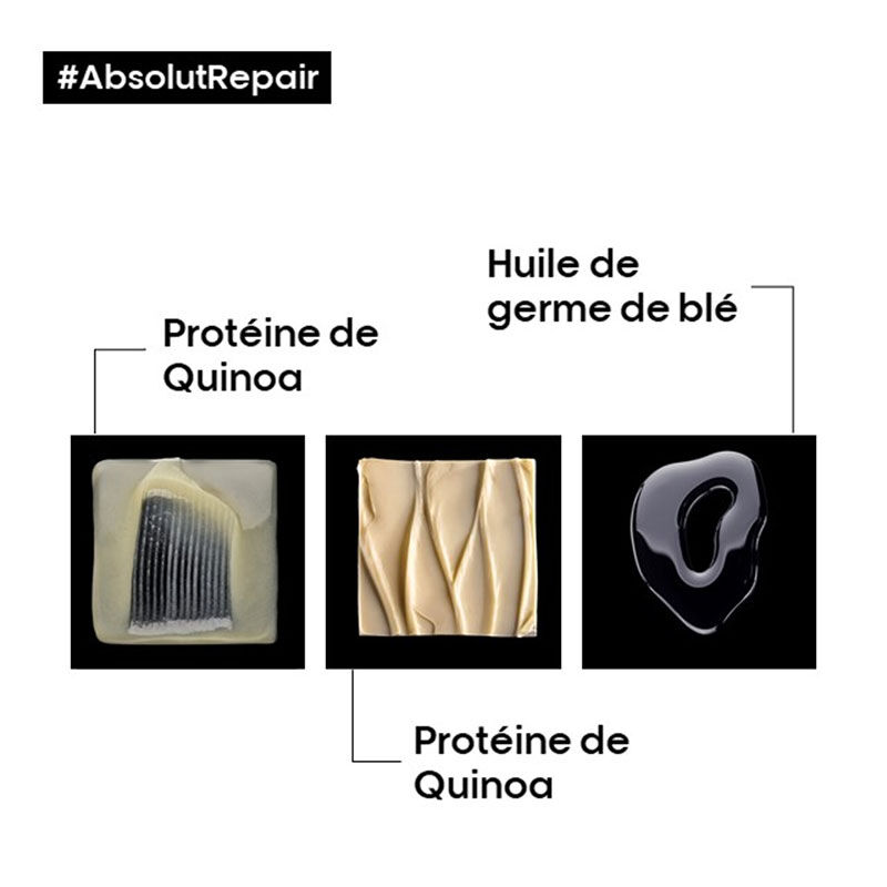 Routine restructurante intense Absolut Repair