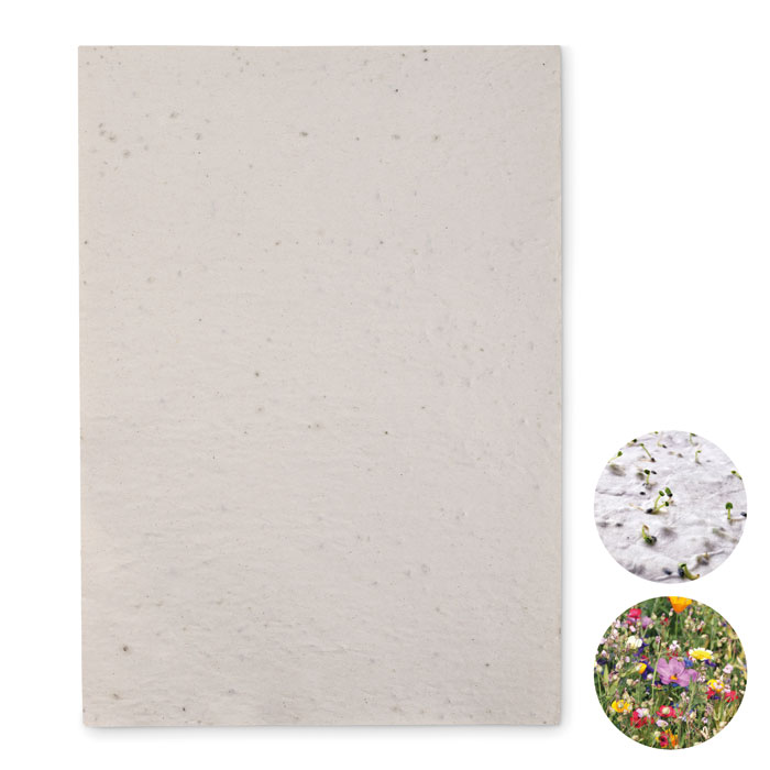 GiftRetail MO6914 - ASIDI Papier A4 graines de fleurs