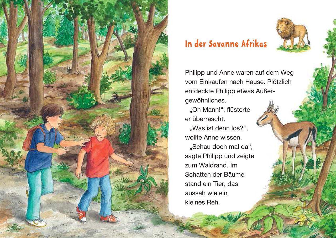 Im Reich der Löwen / Das magische Baumhaus junior Bd.11