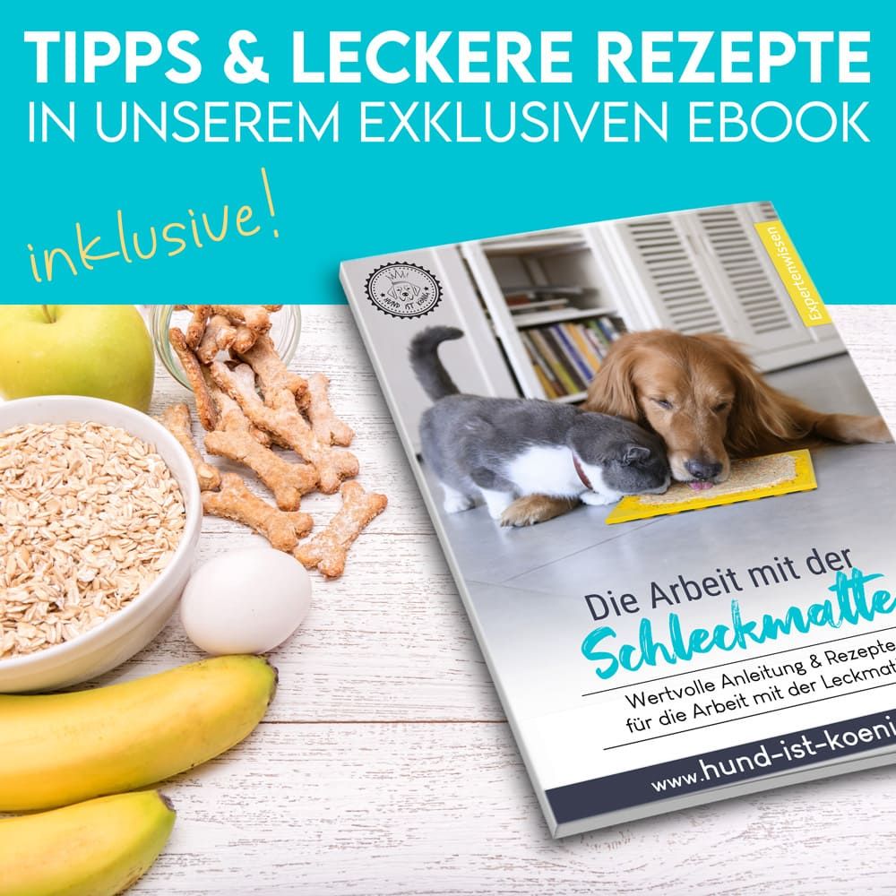 HUND IST KÖNIG® Leckmatte Hund mit Saugnäpfen | 22x22 cm inkl. Spatel + Rezepte-Ebook
