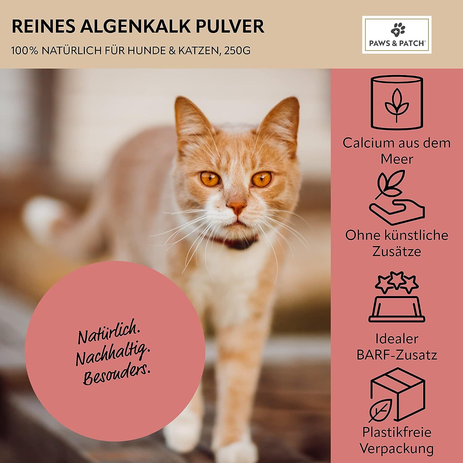 PAWS&PATCH ALGENKALK Pulver für Hunde und Katzen