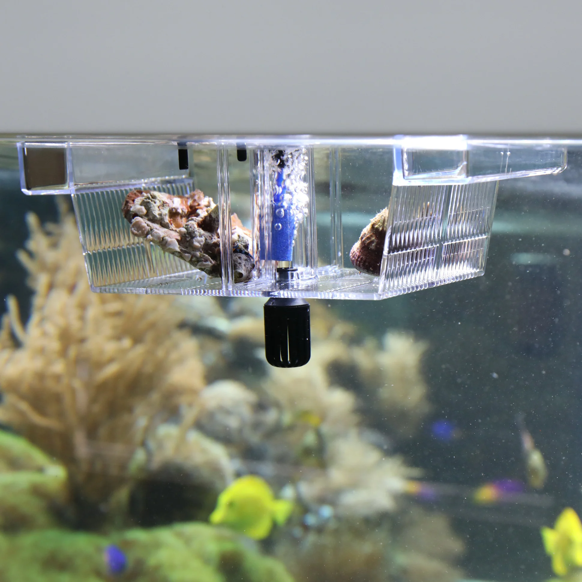 JBL BabyHome Oxygen | Kuitschietbak