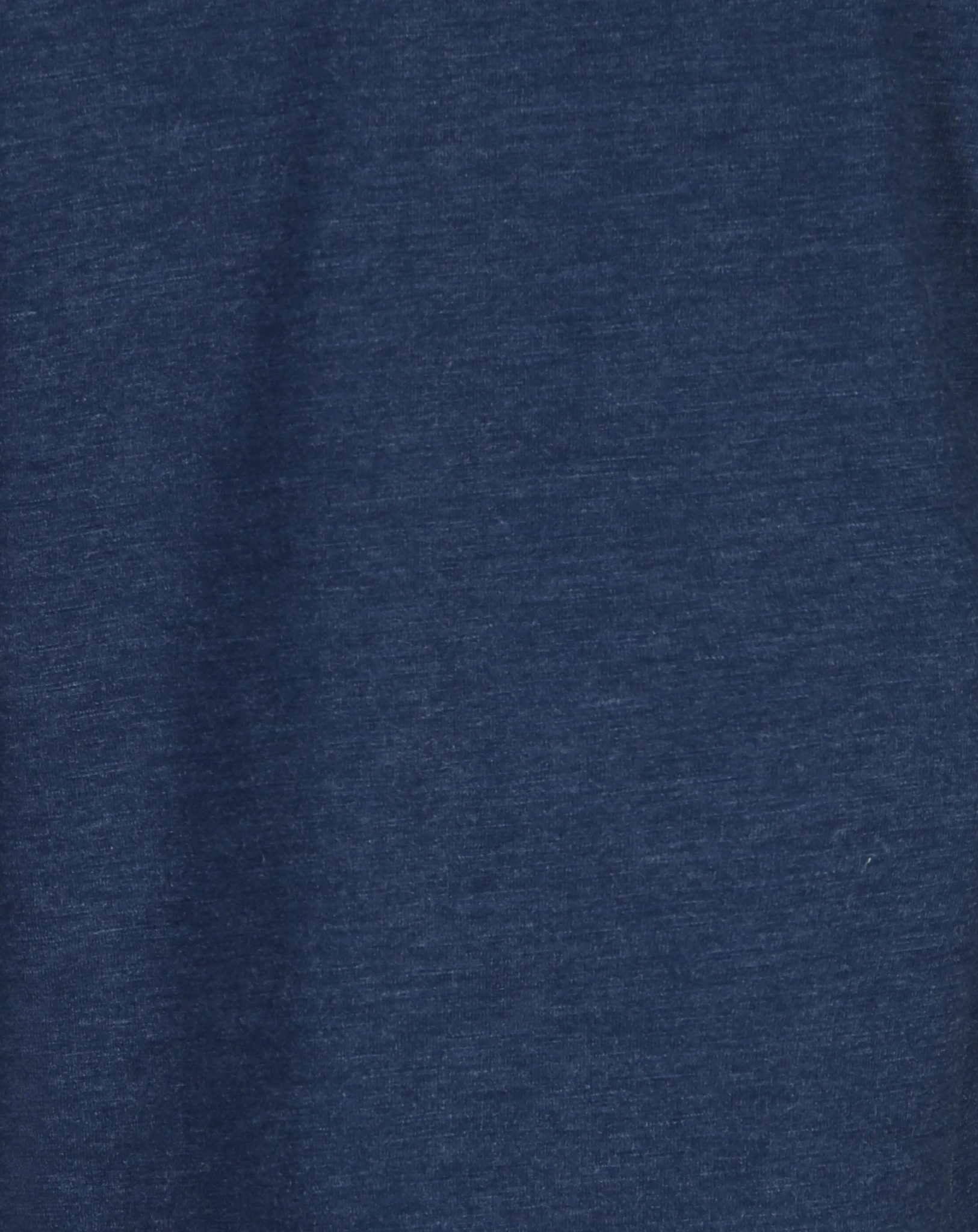 Langarmshirt ROSA SCHMETTERLING in blau melange