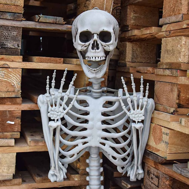 Human-size Skeleton 1.70m