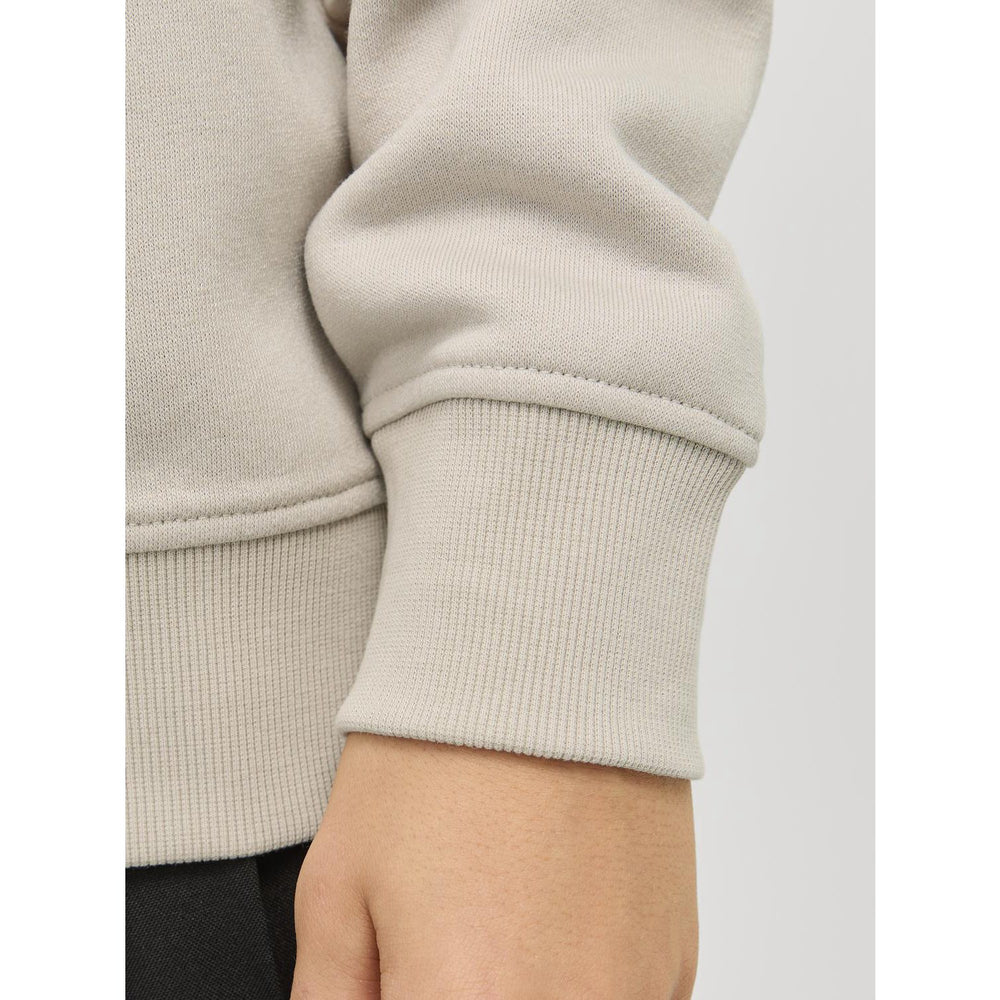 Køb Jack & Jones Junior Moonbeam Bradley Sweatshirt Half Zip Noos
