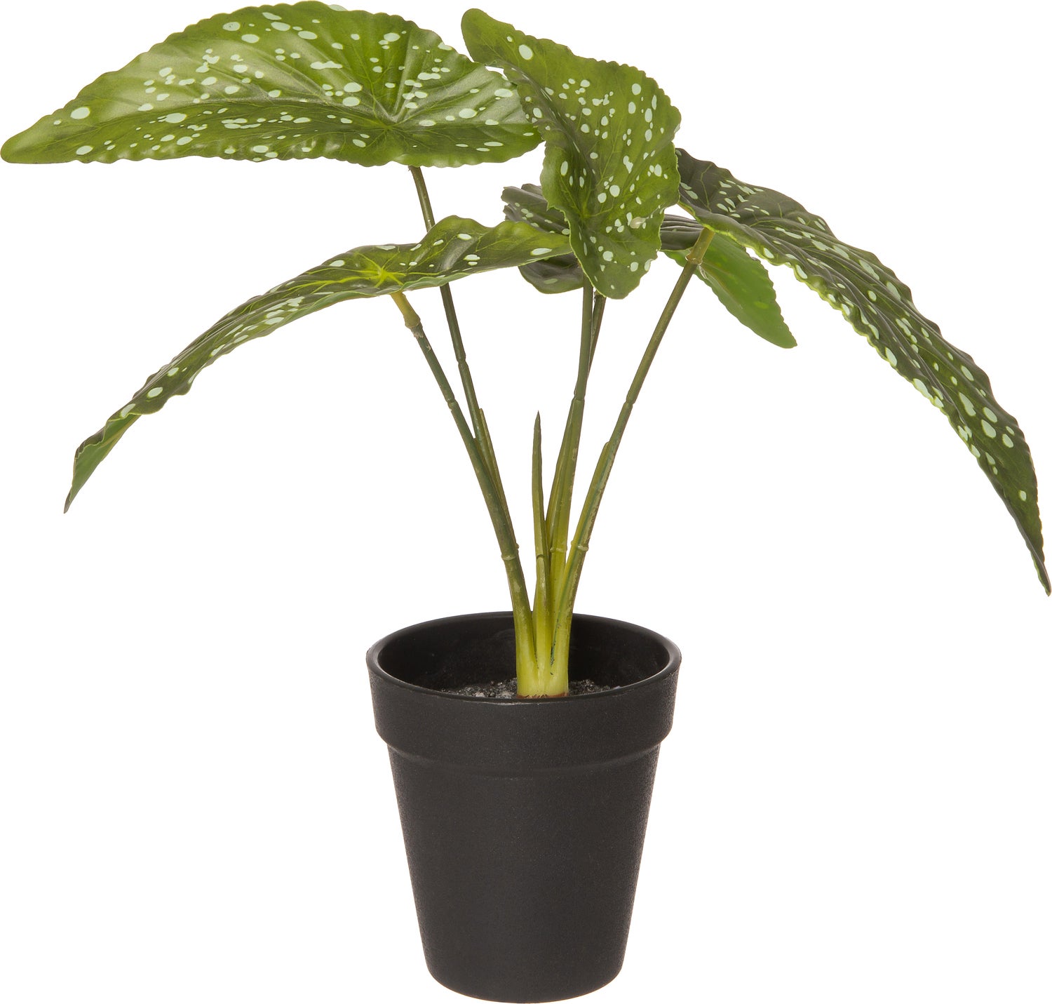 Intratuin kunstplant Olifantsoor D 12 H 26 cm