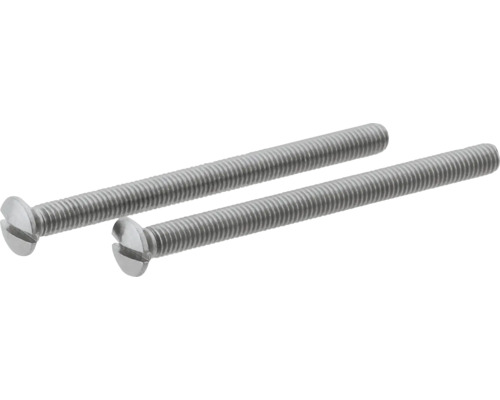 Simplexschroef M6x80mm RVS 2 stuks