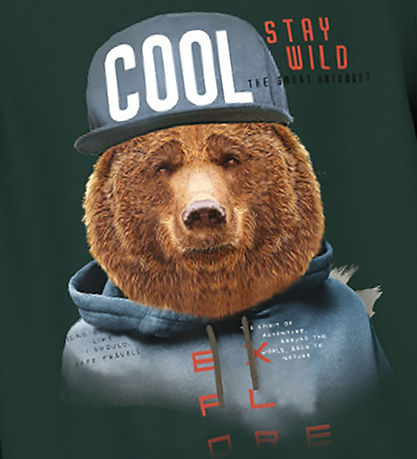 Name It Sweatshirt - NmmLabear - Pine Grove