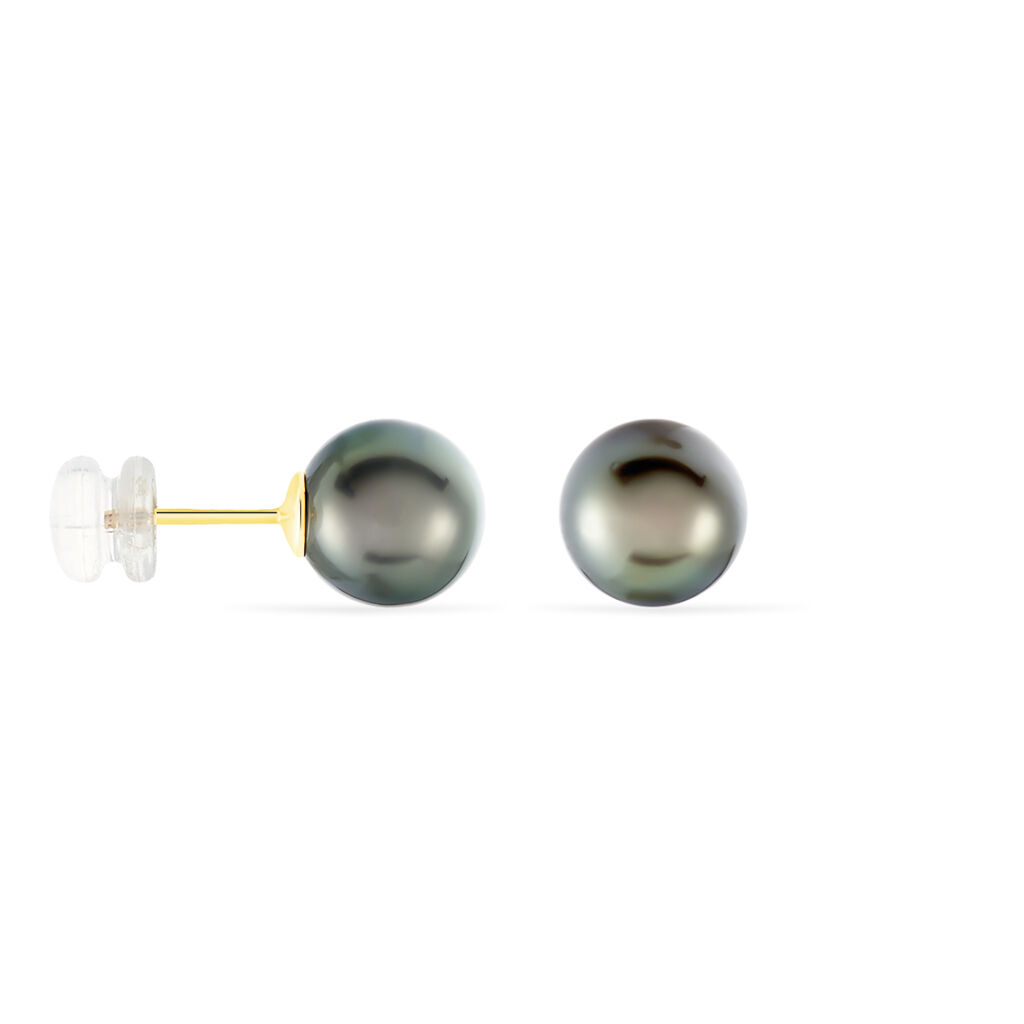 Boucles D'oreilles Puces Alper Or Jaune Perle De Culture De Tahiti