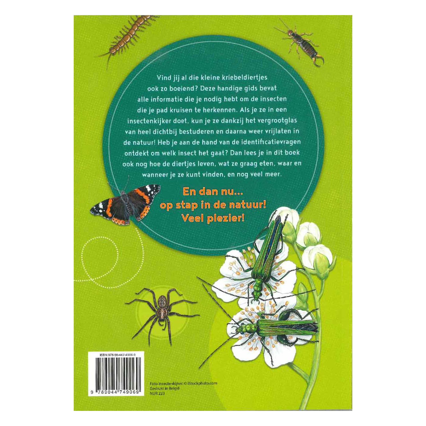 De leukste insectengids voor kids