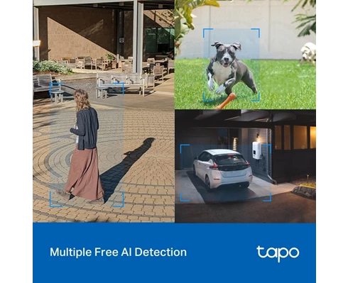 TP-Link Tapo C520WS