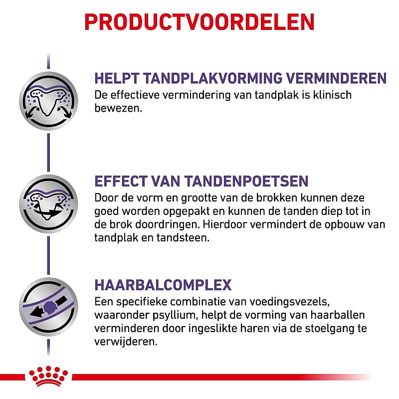 Royal Canin Dental Diet kat Kattenvoer voor een gezond gebit van volwassen katten