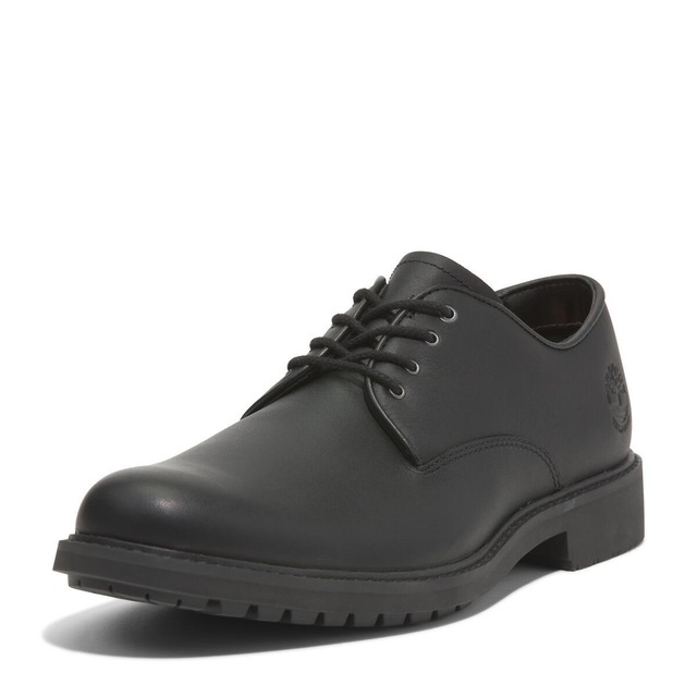 Timberland Schnürschuh »STORMBUCKS LACE UP WATERPROOF SHOE«  wasserdicht