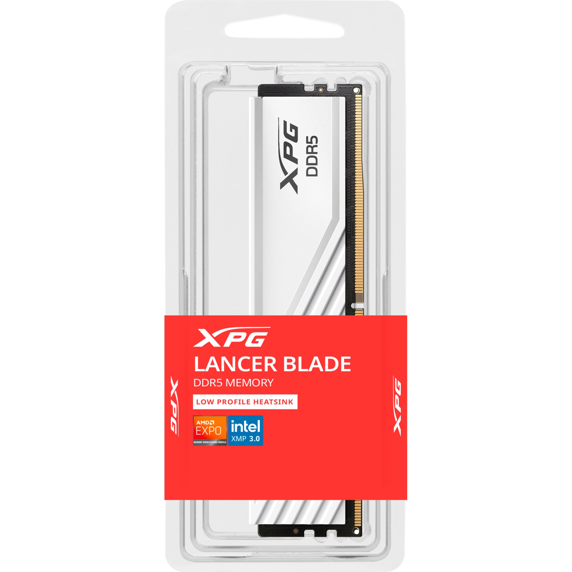 ADATA Arbeitsspeicher DIMM 32 GB DDR5-5600 (1x 32 GB)