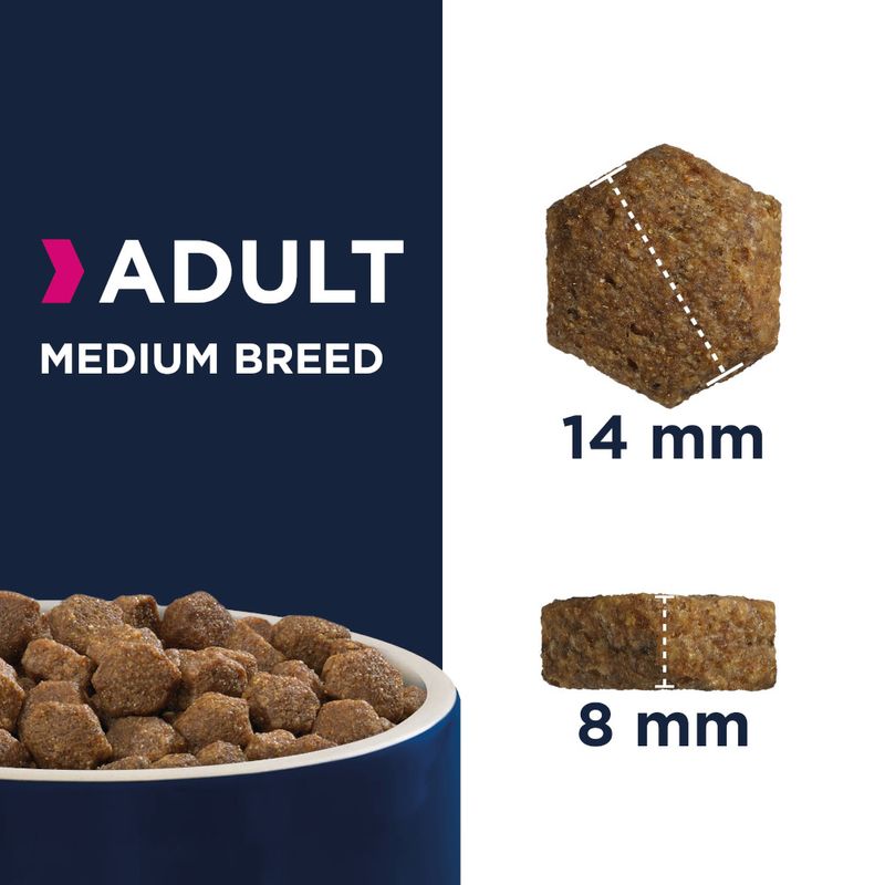 Eukanuba Adult Medium Breed poulet