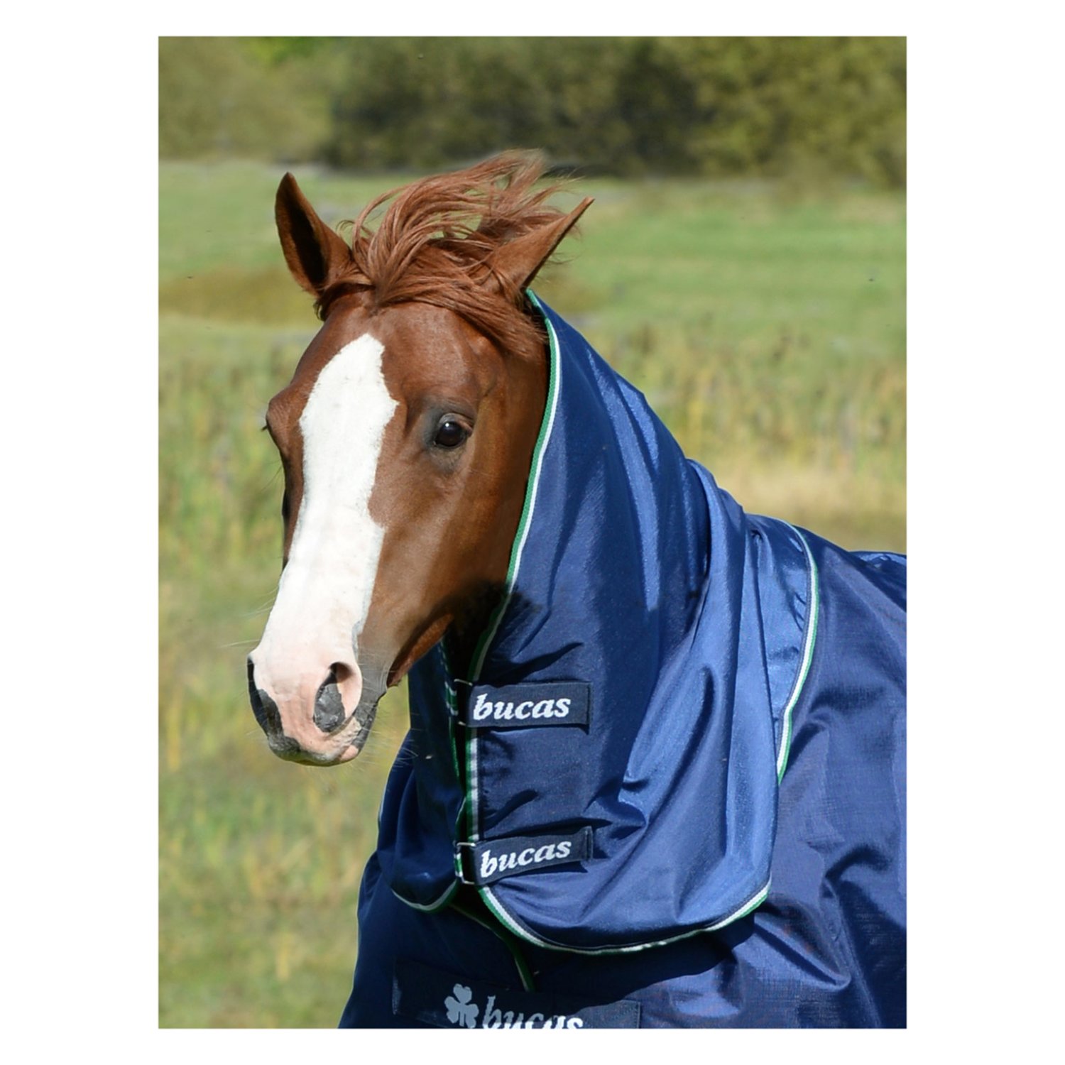 bucas Halsteil Smartex Combi Neck - blue