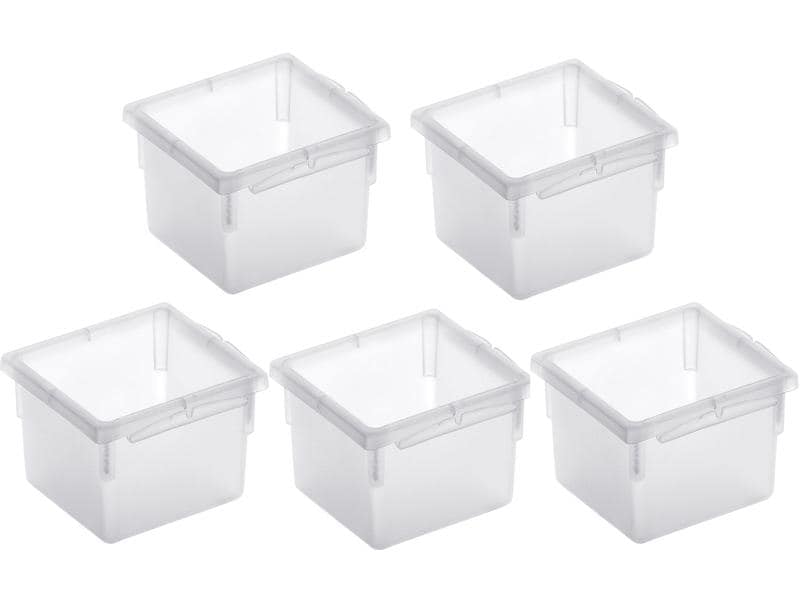Rotho Ordnungssystem Basic 5, Stück, 8 x 8 cm Transparent Schubladeneinteiler zur systematischen Aufbewahrung