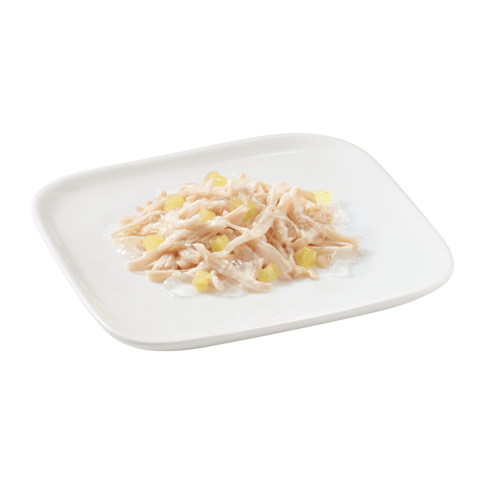 10x Schesir Hondenvoer Kip - Ananas150 gr