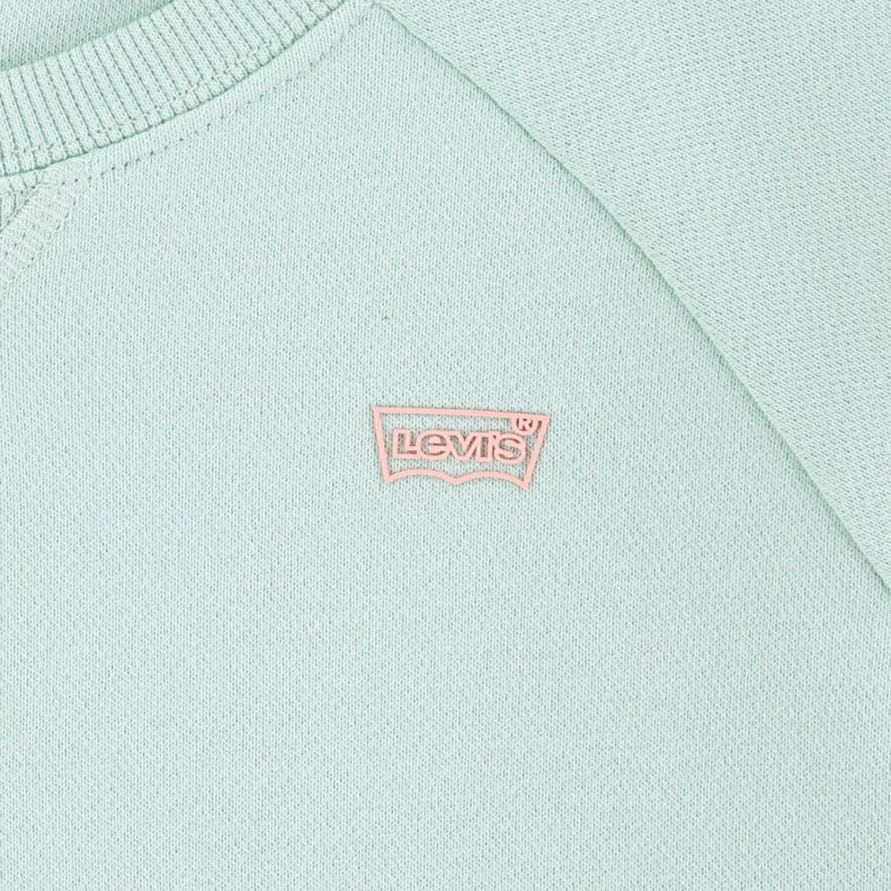 Køb Levi's Celadon Lvg Levis Hd Silicone Batwing Sweatshirt