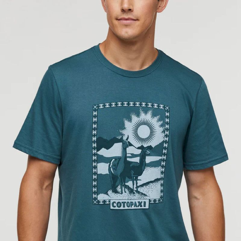 Llama Greetings Organic T-Shirt - T-shirt homme