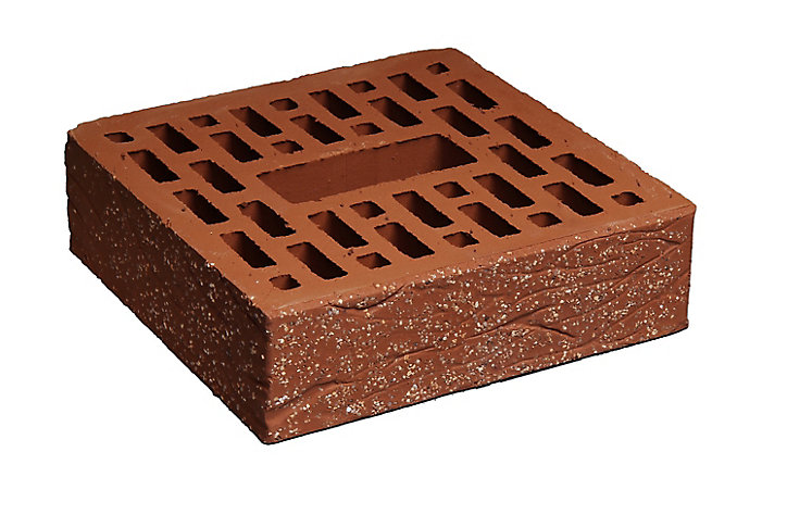 Bloc perforé terre cuite RNS 22 x 22 x 6,5 cm