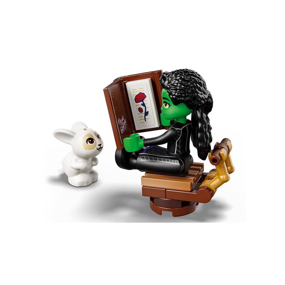 LEGO Wicked Elphaba's schuilhut 75687