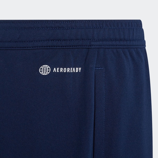 adidas Performance Trainingsshorts »ENT22 TR SHOY«