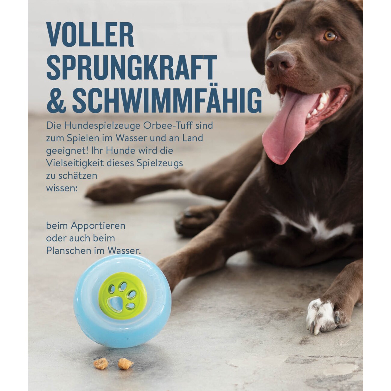 Planet Dog Nooks Outward Hound Hundespielzeug