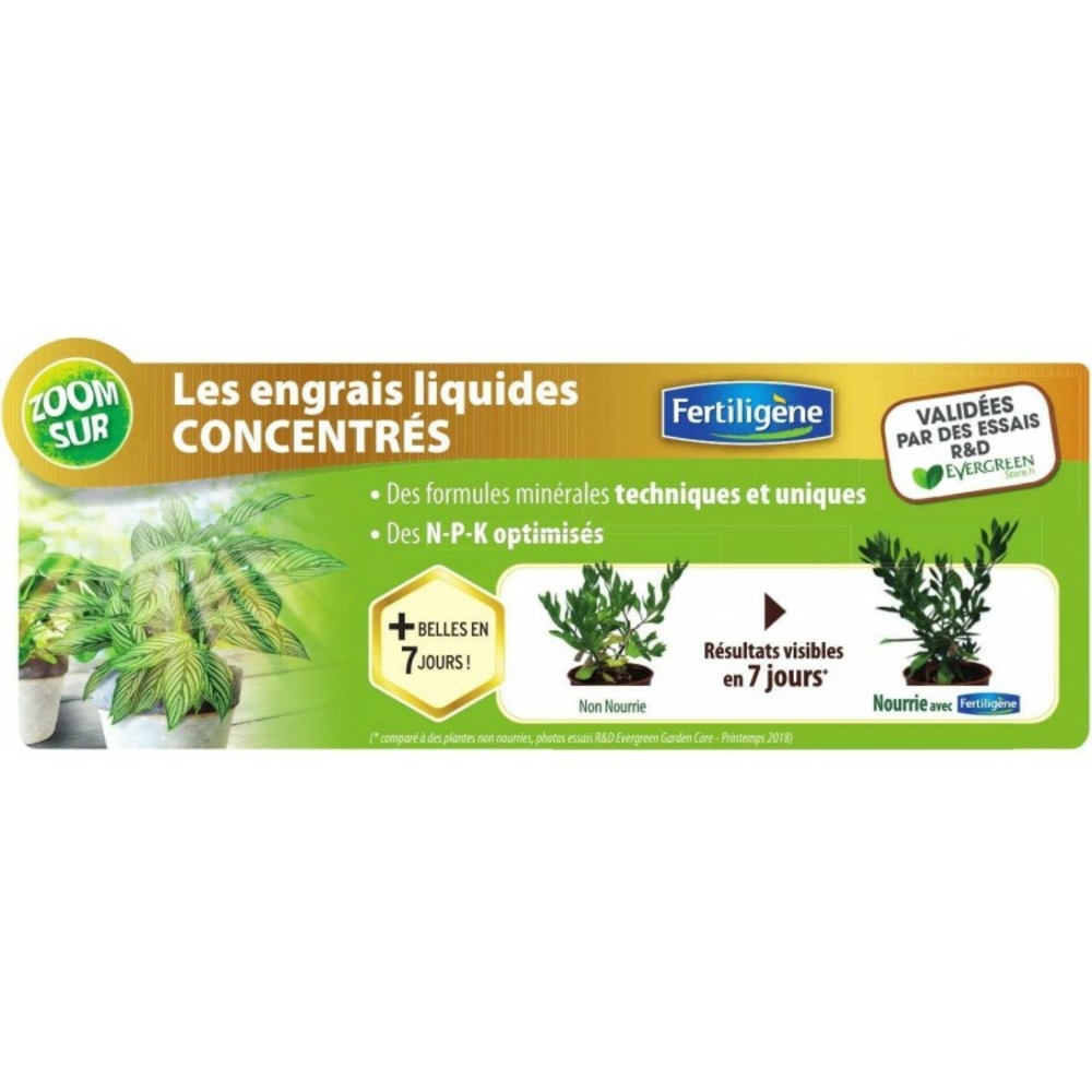 Fertiligène engrais orchidées 250 ml (feor250)