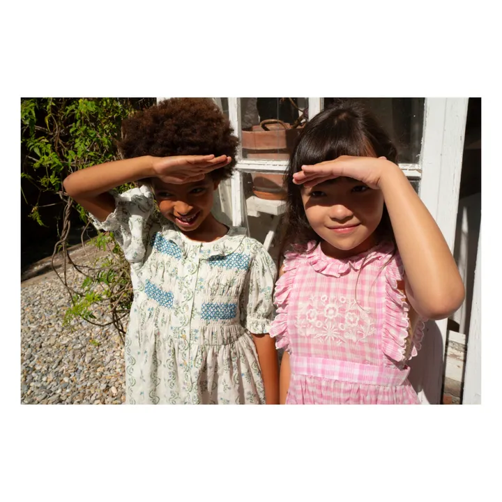 Lali Robe Clover à Carreaux Brodée | Rose