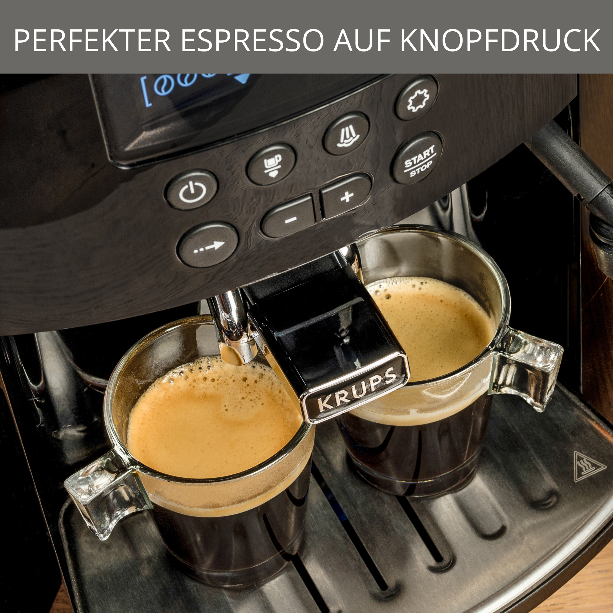 Arabica Display Black EA8170
