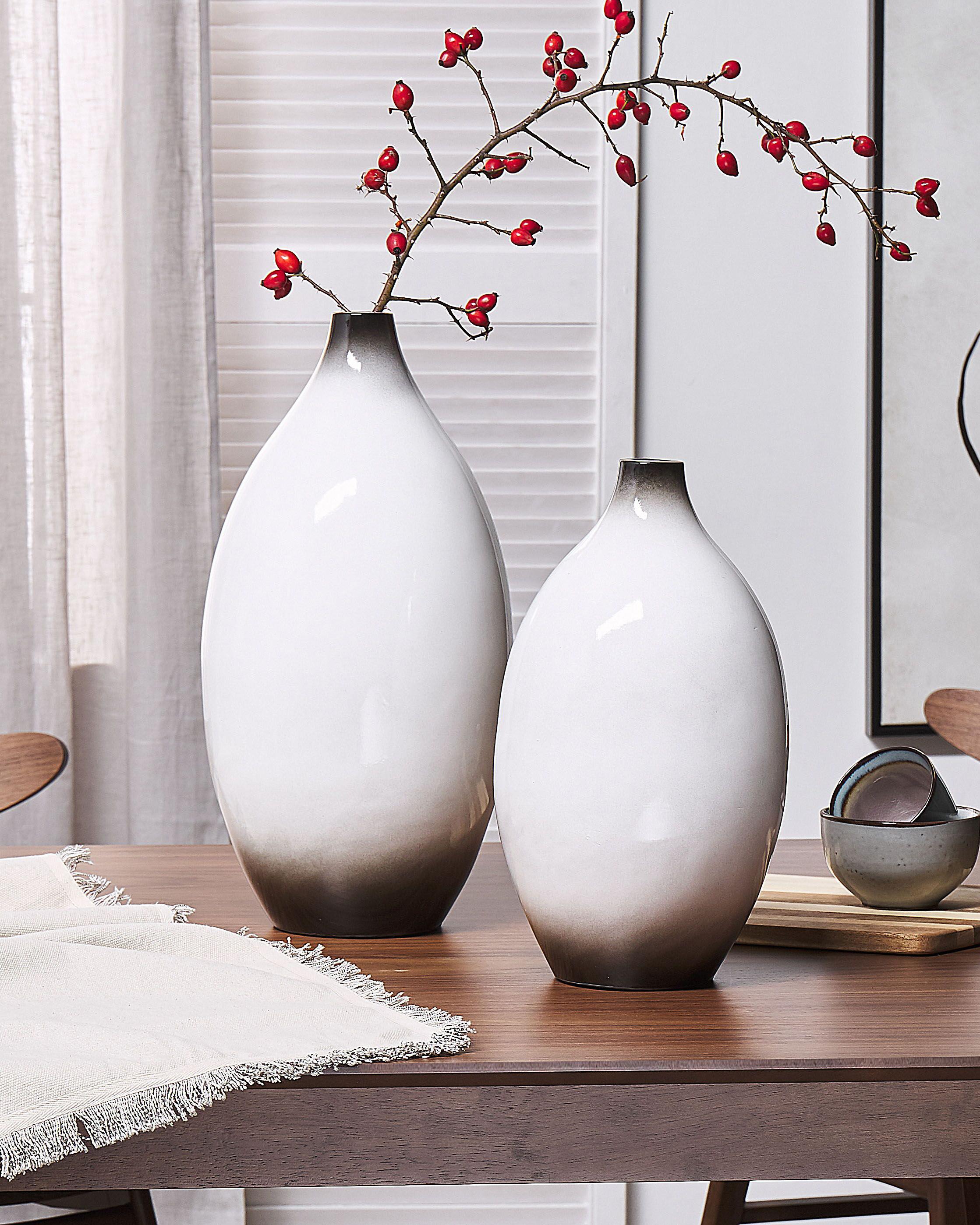 Decoratieve vaas BAEZA Keramiek 46 cm Wit