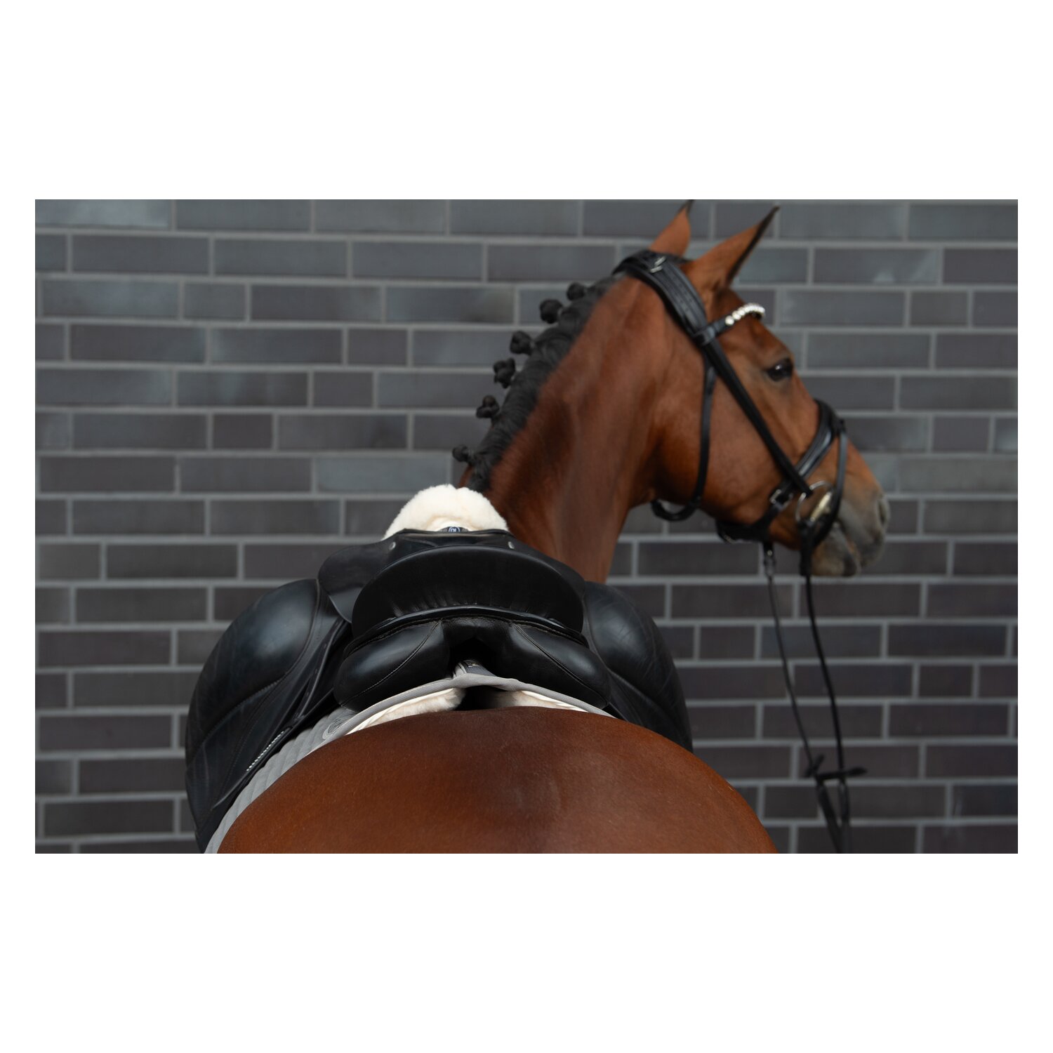 ESKADRON Heritage Schabracke Micro Evo-Wool - earl grey