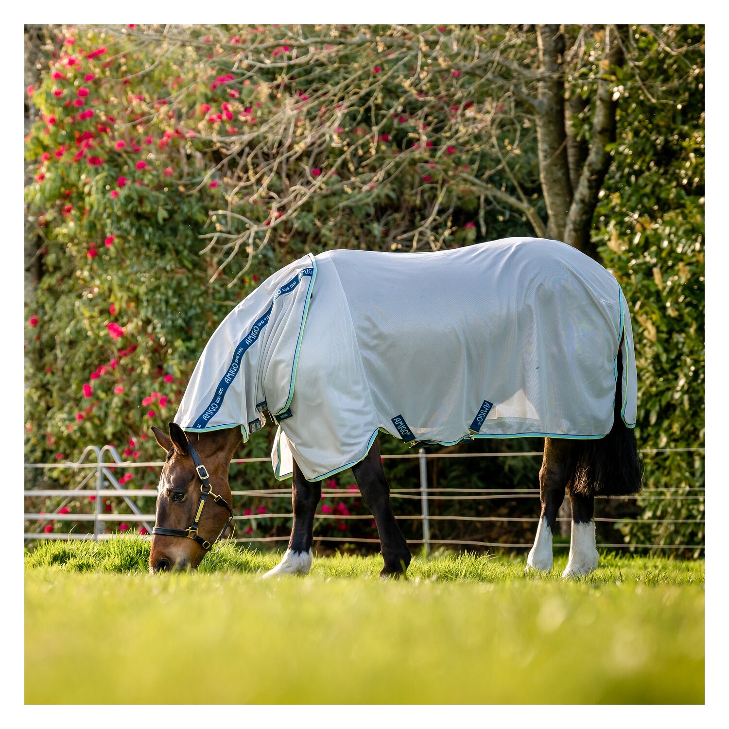 Horseware Fliegendecke Amigo XL Bug Rug  - lunar/navy/haze