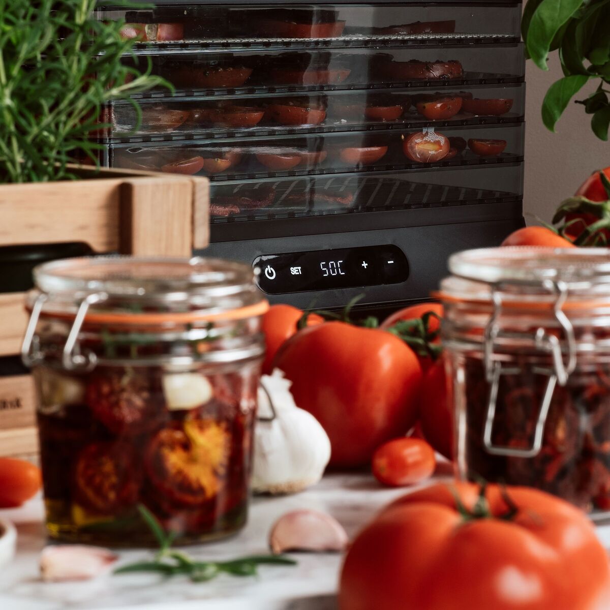 Dehydrator tørkeovn 5 lag