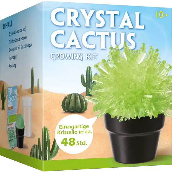 Crystal Cactus Growing Kit
