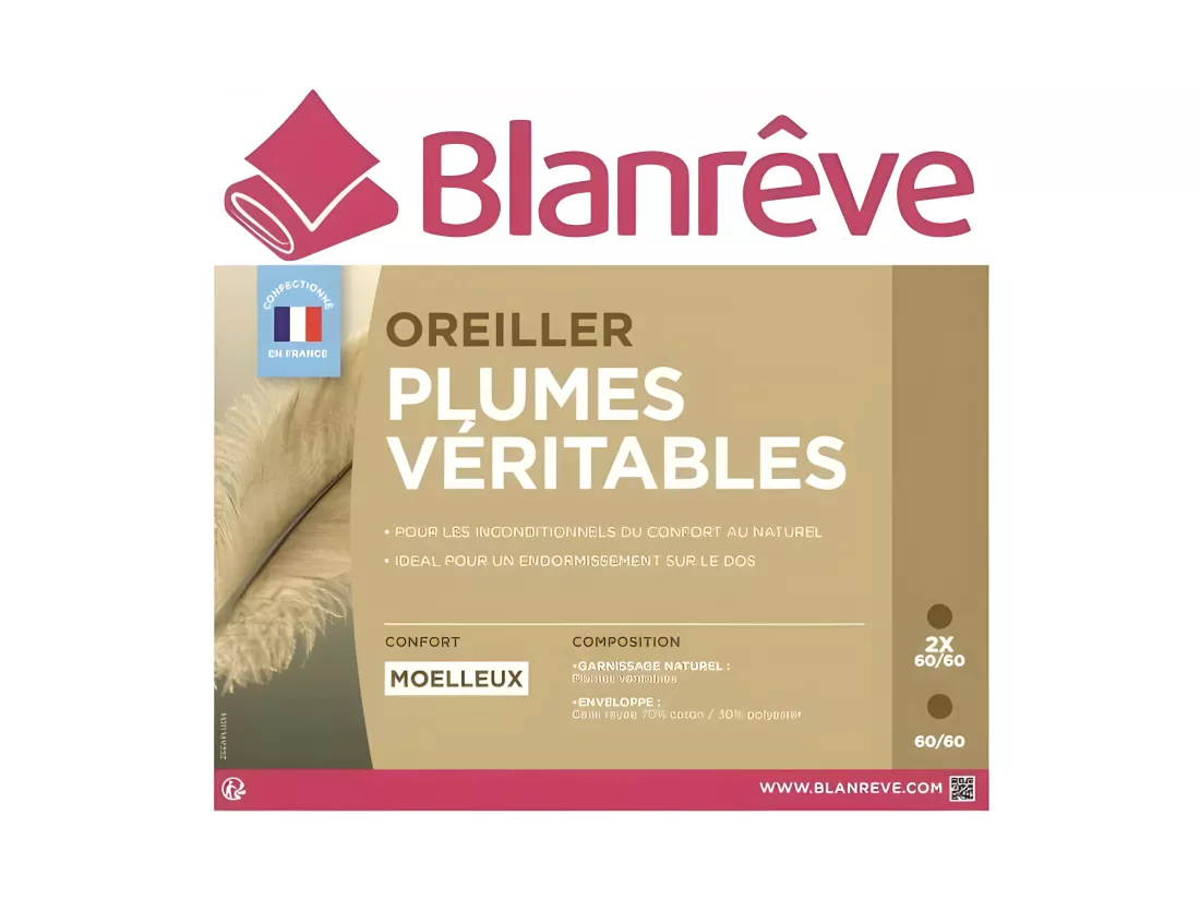 BLANREVE Lot de 2 oreillers - 60x60 cm