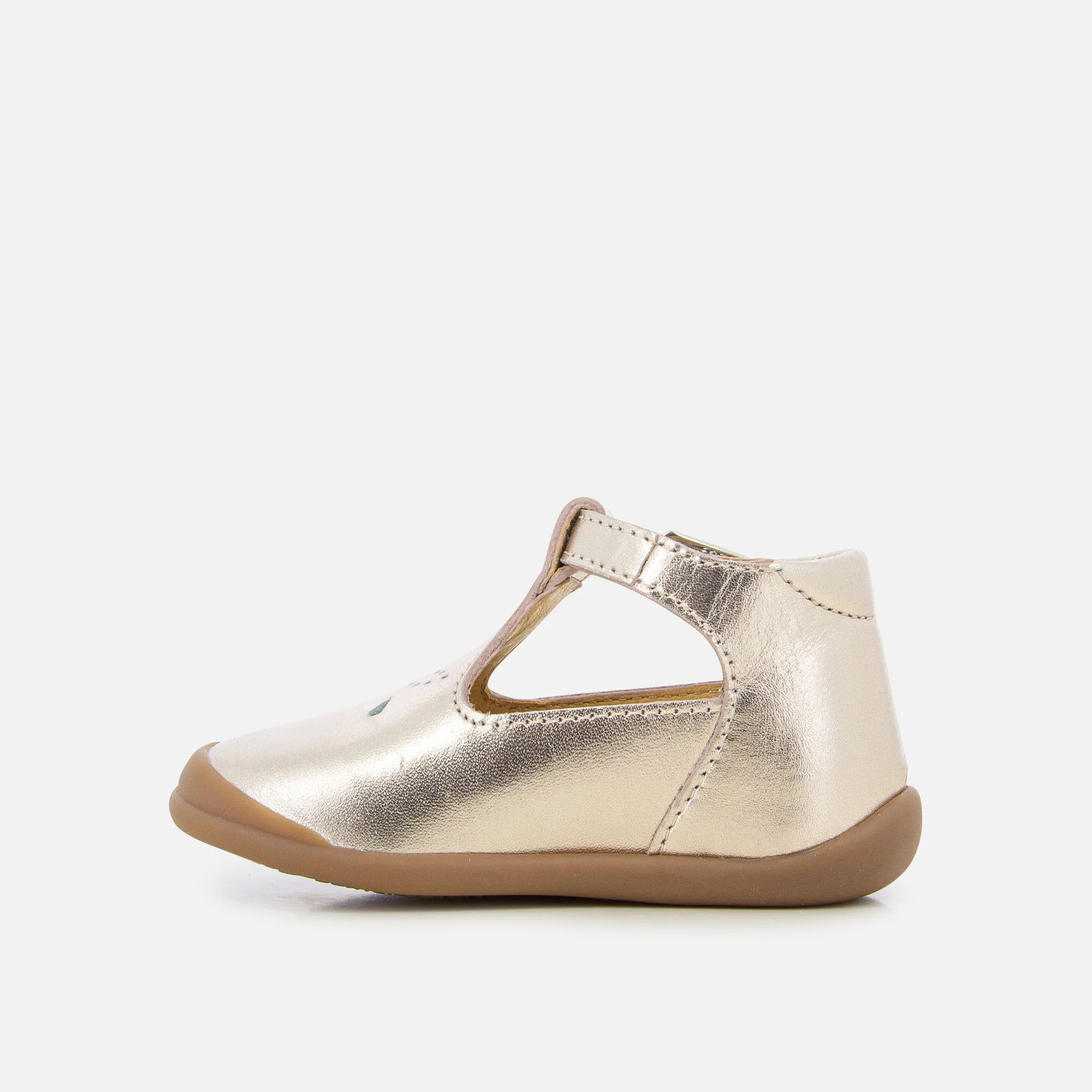 FLEX-UP SALOME