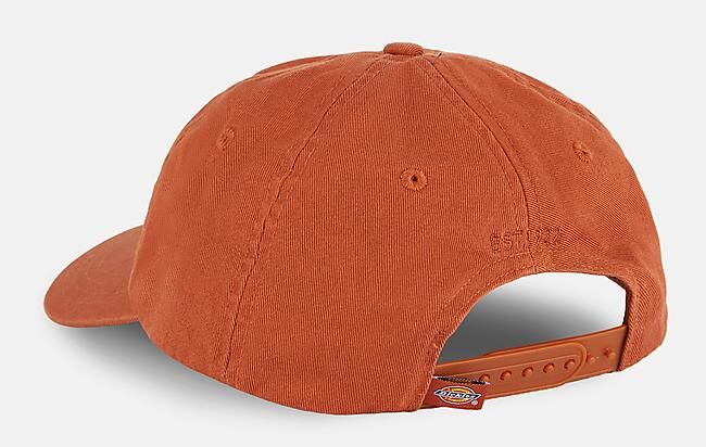 DICKIES - CASQUETTE HARDWICK