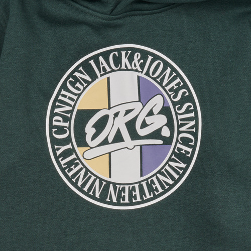 Jack & Jones - JORARTHUR SWEAT HOOD SN - Vert